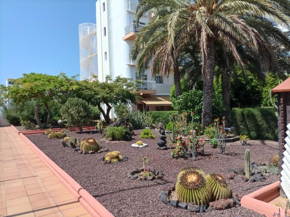 Lightbooking Tenesor 115 Playa Del Ingles المظهر الخارجي الصورة