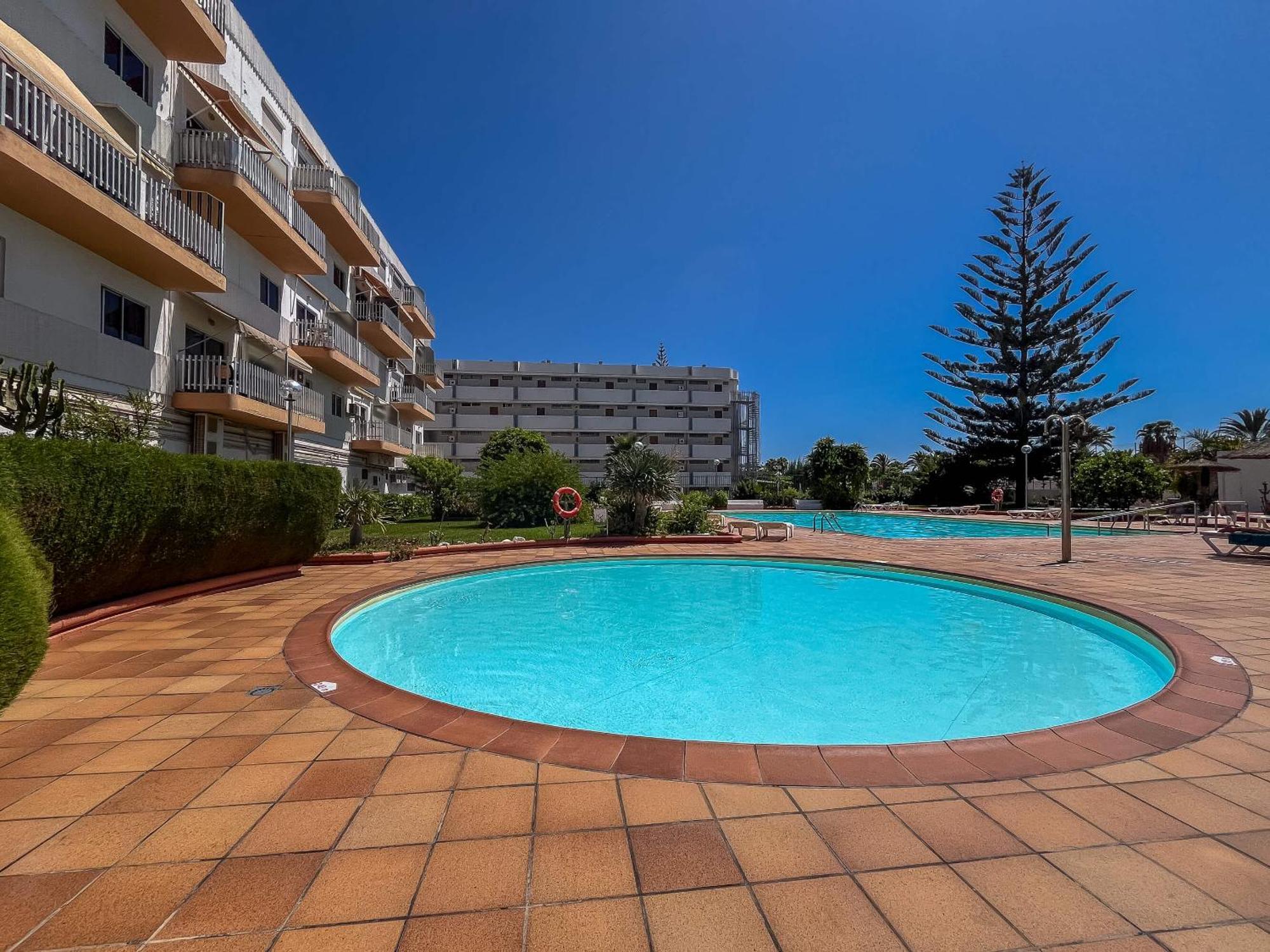 Lightbooking Tenesor 115 Playa Del Ingles المظهر الخارجي الصورة